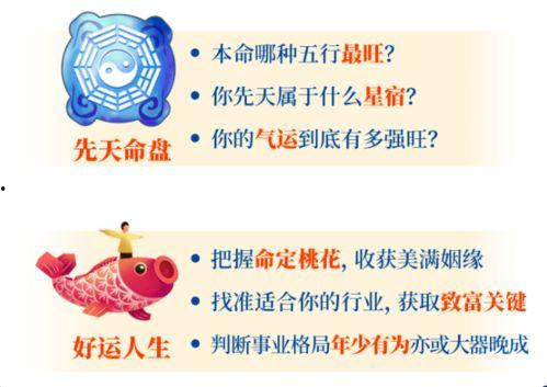 幸运38预测,揭秘数字背后的神秘力量