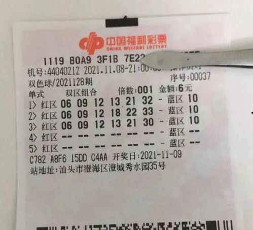 狗双色球开奖结果,狗狗助力，幸运号码揭晓！