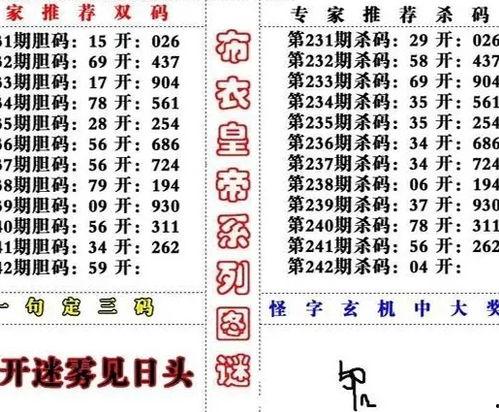 3d每天谜语,探索三维世界的智慧谜题