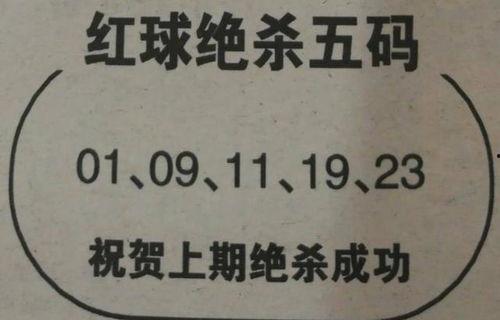 双色球24期绝杀篮球,揭秘绝杀策略，助你一击即中！