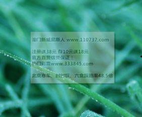 彩票35选7走势图,趋势分析及预测策略