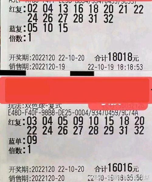 双色球幸运走势图坐标,探寻幸运数字的奥秘轨迹